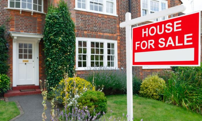 AI makes mistakes? There's insurance for that