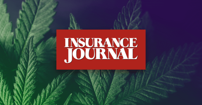 What Marijuana’s Move to Schedule III Really Means for Cannabis Insurance