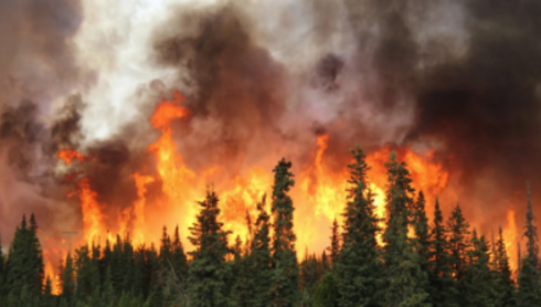 A 3,000-year high: Alaska’s Arctic is entering a dangerous new fire era