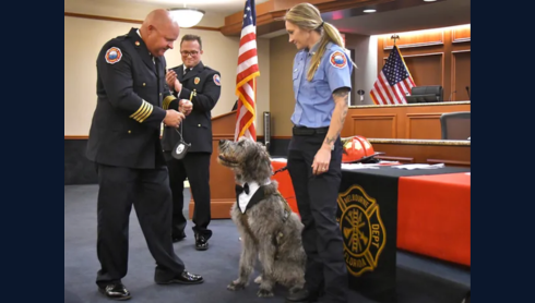 From peer support to therapy dogs, Brevard first responders find new ways to heal