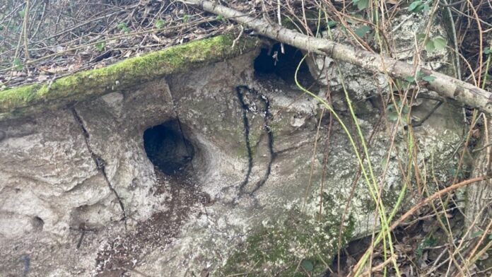 Trapped individual in tunnel under concrete deck escapes before Portland rescue team reaches scene