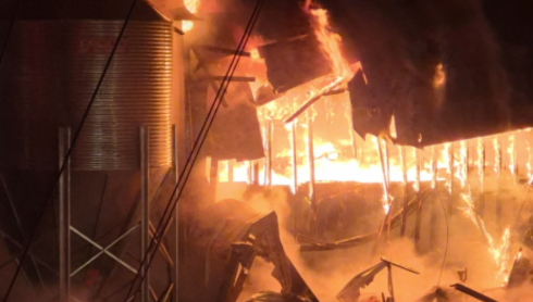 VIDEOS: Around 86K chickens die in industrial chicken coop fire in Cherokee County
