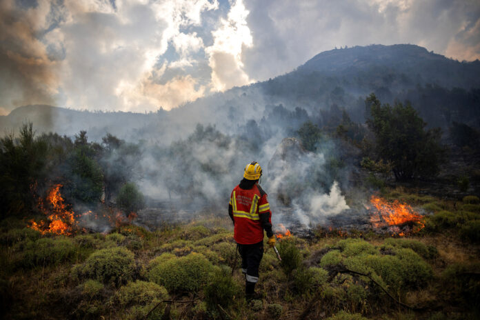 Climate Change and Budget Cuts Fueled South American Blazes