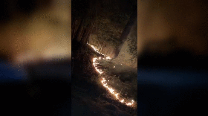 Cypress Creek Fire in Texas grows to 1,143 acres, 10% contained