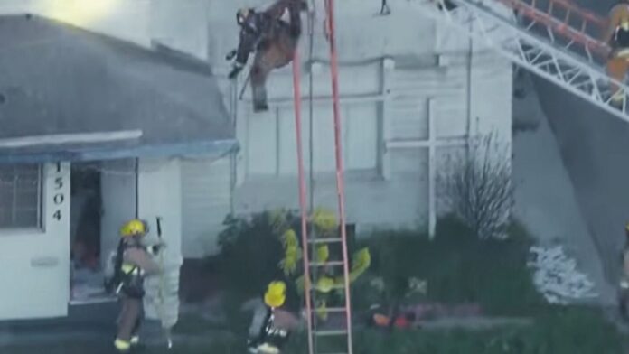 Los Angeles firefighter injured after ladder fall at Arlington Heights house fire