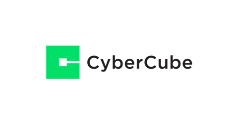 Methven to Succeed Millaire as CyberCube CEO