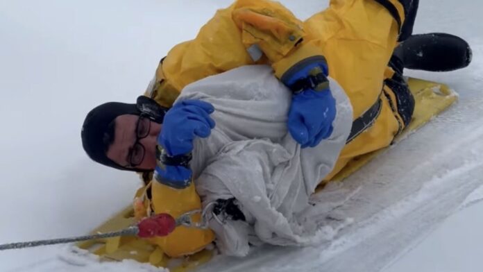 PETA awards Bantam Fire Company firefighter Pete Bergamo for rescuing goose from frozen Bantam River