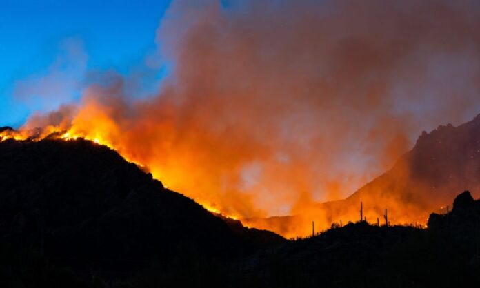 Washington Senate advances Kuderer wildfire risk score disclosure bill