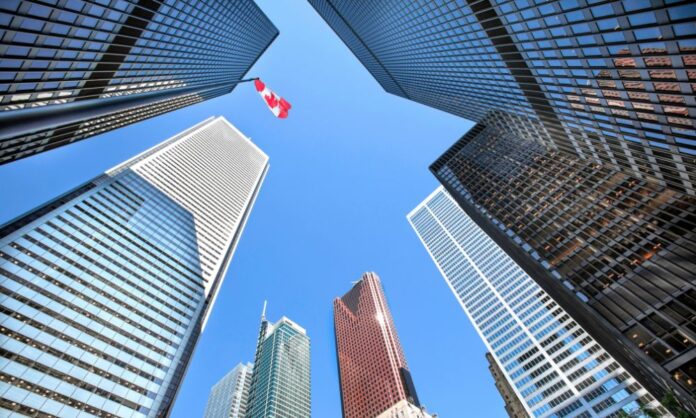 Businesses more optimistic despite persistent cost and labour pressures