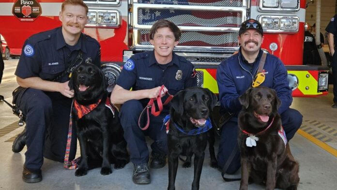 Colo. therapy dog task force expands nationwide to support first responders
