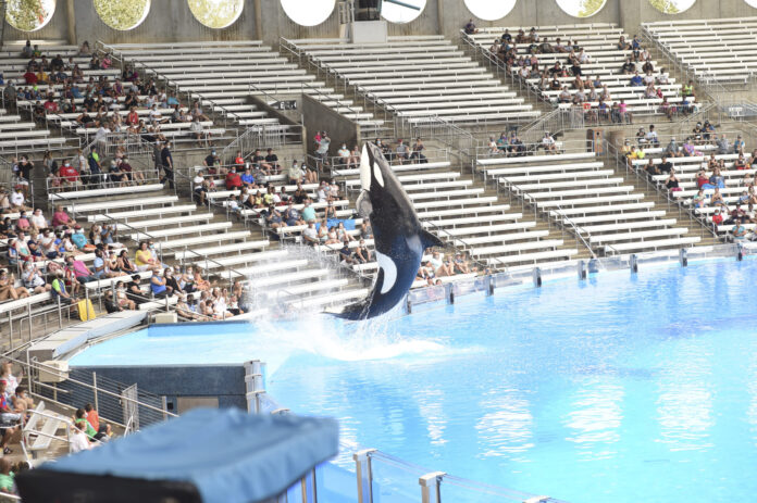 DOJ Sues SeaWorld’s Parent Company for Disability Discrimination