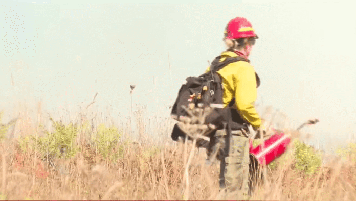 Deschutes National Forest plans spring prescribed burning