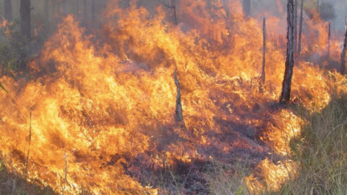 National Fire remains at 35,034 acres with 53 percent containment