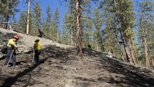 Target shooters accidentally spark fire near Frenchtown