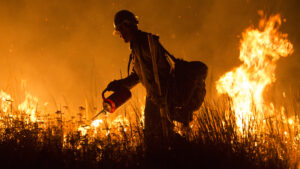 Alachua County brushfire grows to 20 acres, prompts burn ban reminder