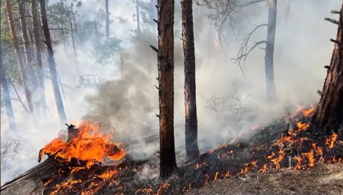 Bear Creek Fire in Douglas County under control
