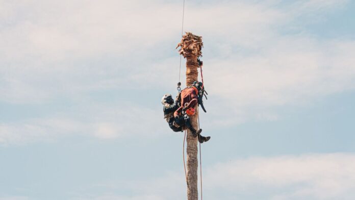 CAL FIRE helicopter rescues tree worker 75 feet up after medical emergency in San Jose