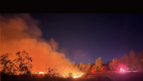 Car exhaust system causes fire at Ocala National Forest