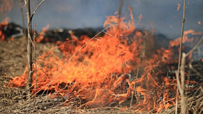 Cave Fire burns 458 acres in Lincoln County