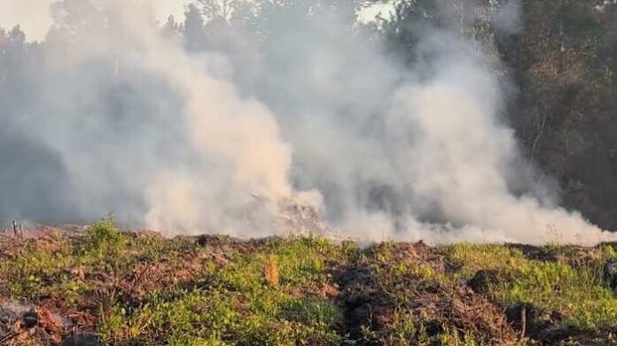 Clay, Putnam wildfires merge into ‘unpredictable’ 3K-acre Railroad Fire