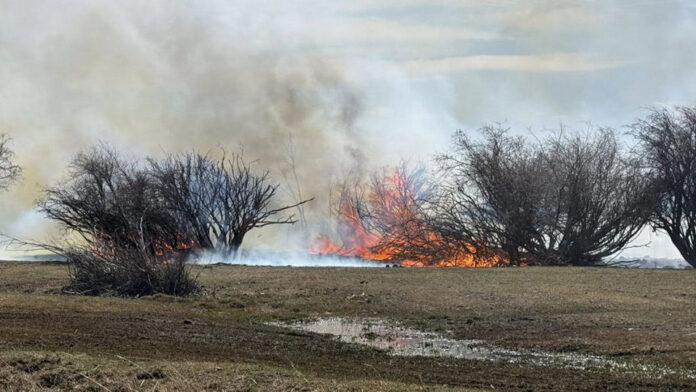 Fire in Uinta County burns boat, truck, and 40 acres