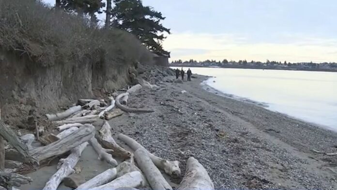 Guemes Island Fire Department assists investigation into mutilated canines found in Skagit County waters