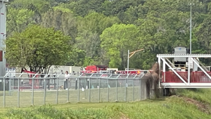 Heavy Shreveport Fire Department response to fire at energy company site