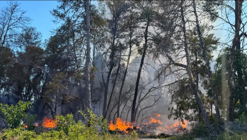 Hernando County brush fire grows as crews work to contain area