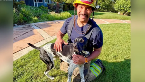Hero dog alerts Orange County family to house fire