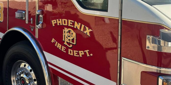 Hiker fighting for life after being stung by swarm of bees in north Phoenix
