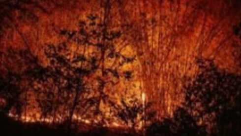 Planning to burn? Oregon urges using ‘Before You Burn’ tool to prevent wildfires