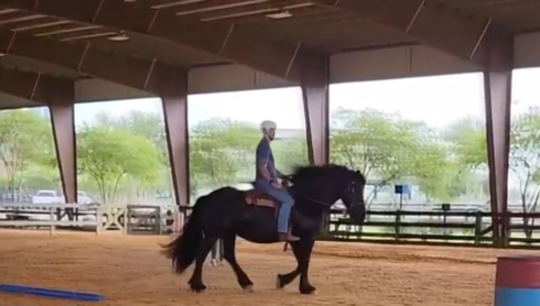 Reins of Hope in Lake Charles offers new free wellness support for veterans and first responders