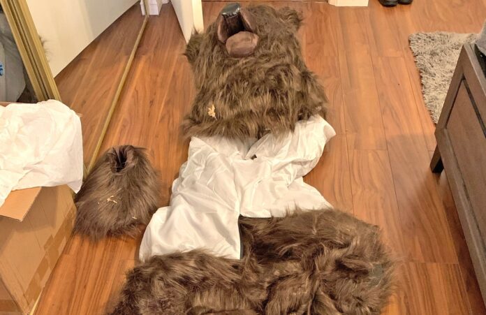 Three Sentenced in Videoed Bear-Suit Attacks Insurance Fraud Case