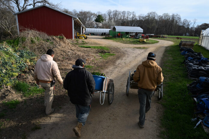 American Farmers Shun USDA Surveys as Trust in Data Erodes