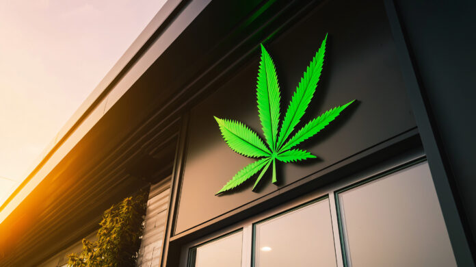California Teens See Cannabis as Safer Than Alcohol, Vapes and Cigarettes