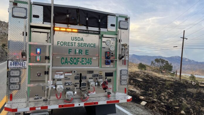 California crews make progress protecting giant sequoias after wildfires killed 20% of trees