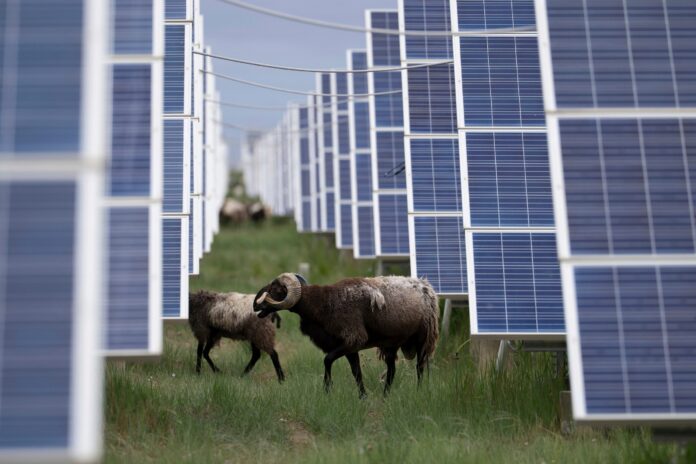 Iran War Is ‘Supercharging’ Clean Energy Transition, UN Climate Chief Says