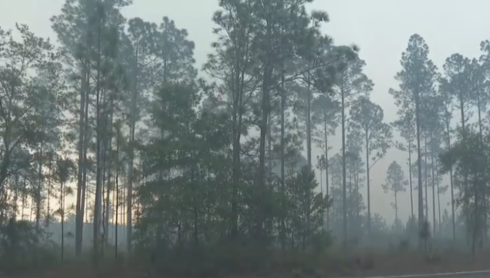 Lochloosa West Fire grows to 100 acres