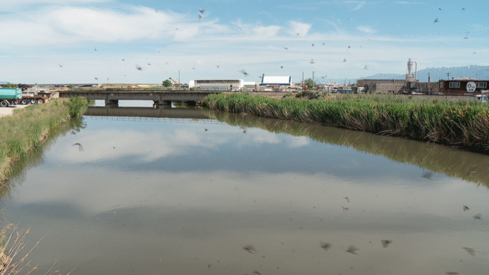 Man hospitalized after rescue from 'very dangerous section' of Jordan River Surplus Canal