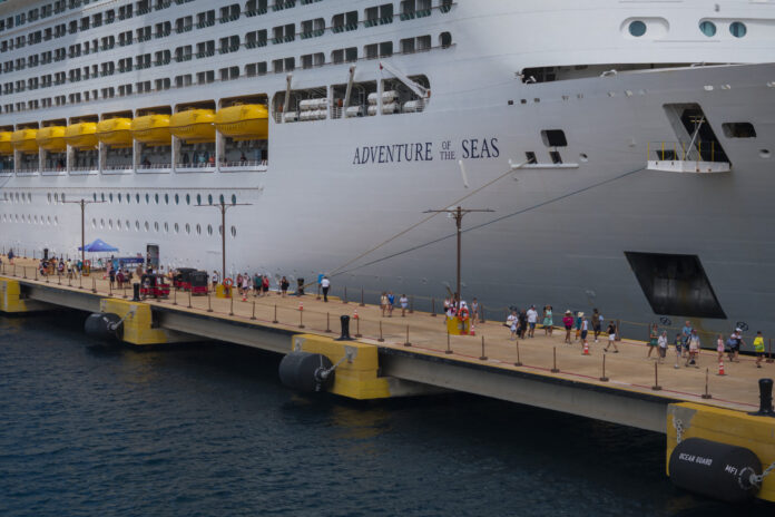 Stomach Bugs, Not Hantavirus, Are the Bigger Threat on Cruises